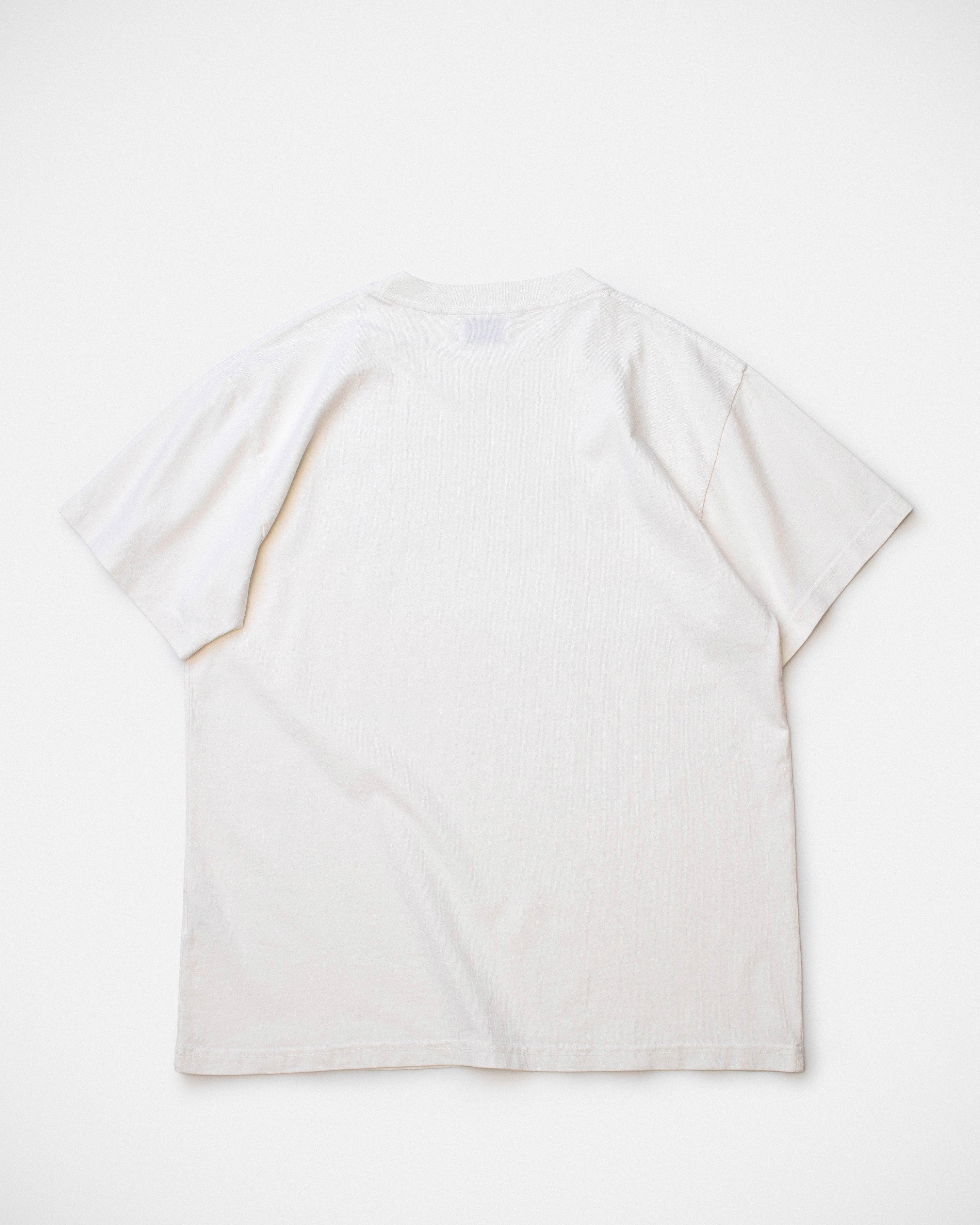 Adventure Turtle Tee - Off White